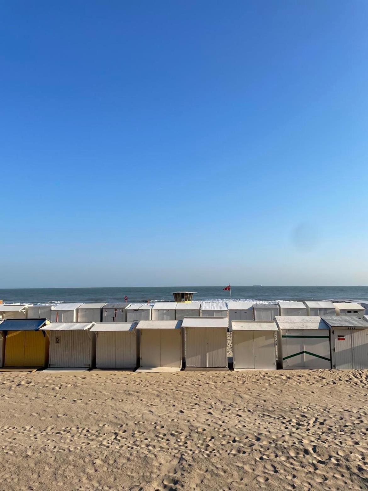 C-Dream Lejlighed Blankenberge Eksteriør billede